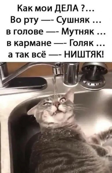 Да! ))