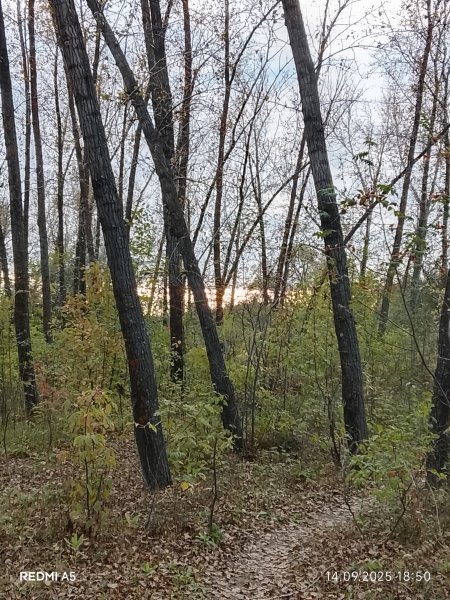 picture_396438523