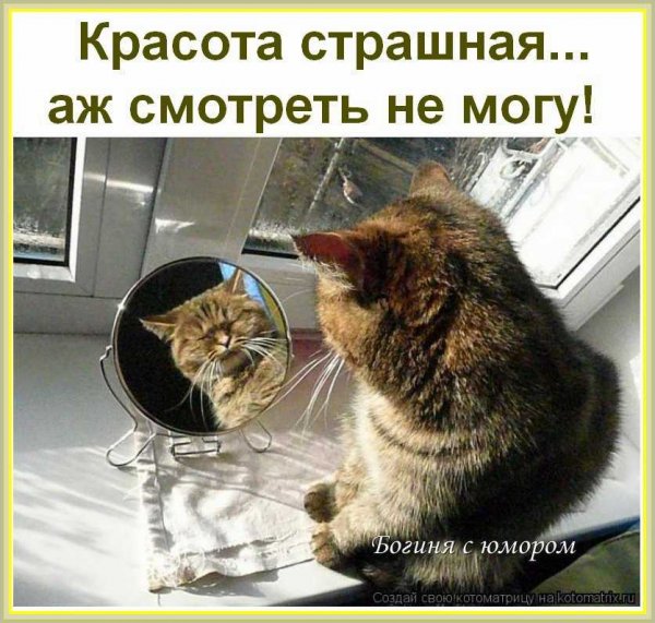 )))))))