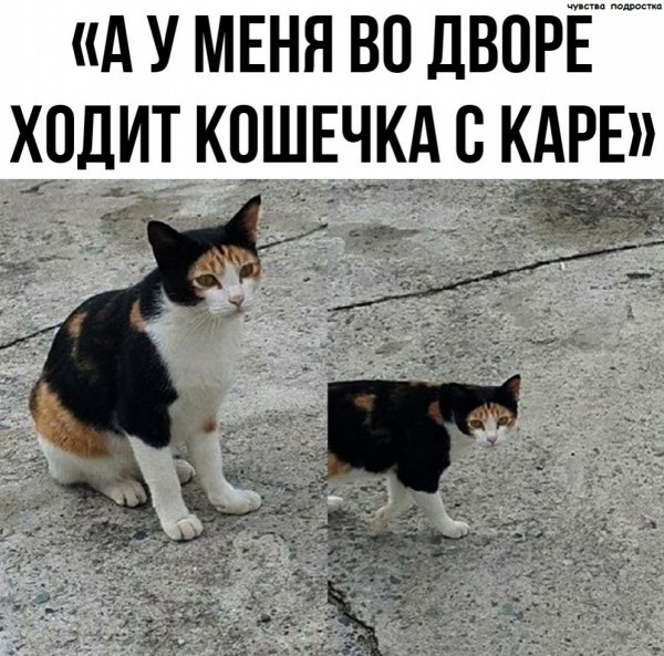 Да! ))
