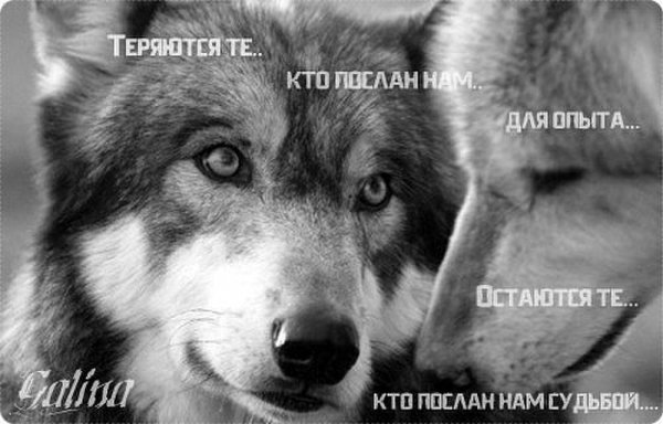 IMG 20160904 120716 7