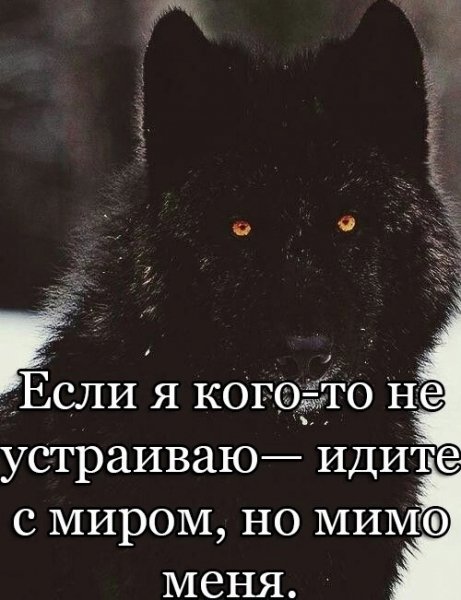 picture_388995835