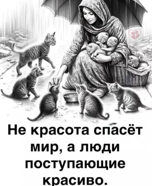 IMG-20251031-WA0000 (2)