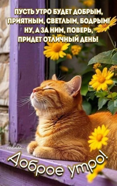 34fa560f5aec407aa864e92ba7d49167