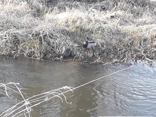 picture_317216148