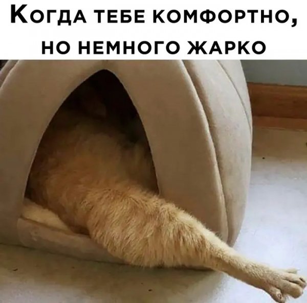 Pozitivnaja-podborka-memy-shutki-i-zabavnye-kartinki-02