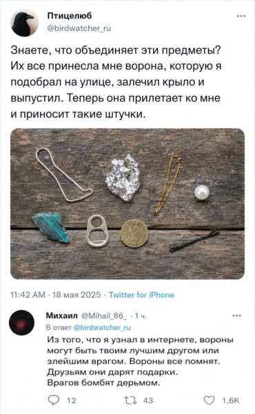 Будь как ворон )