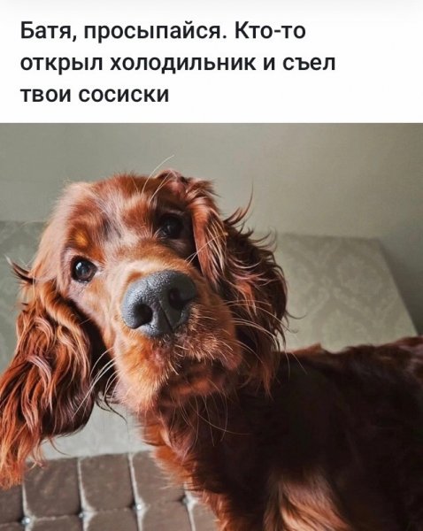 Опаньки!