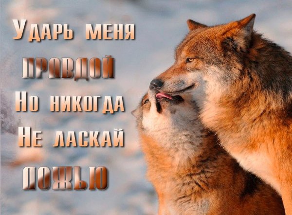 image (5)