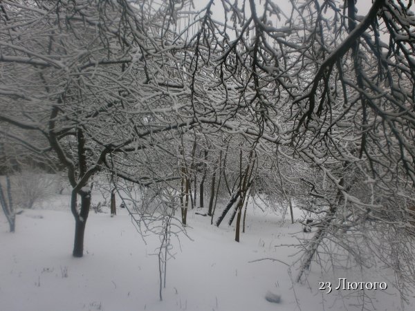 23 Лютого