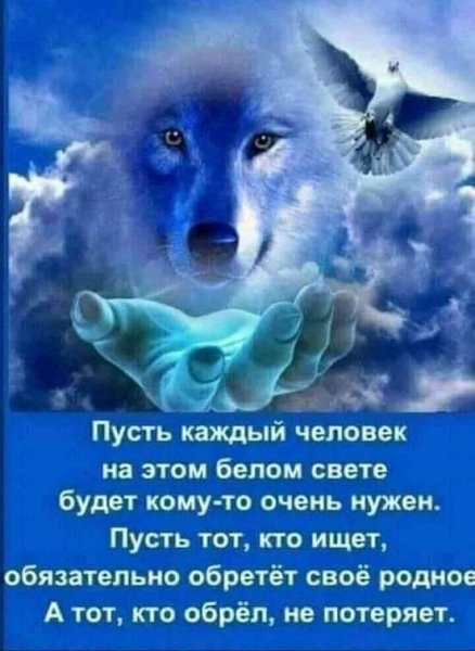 FB IMG 1627231214281