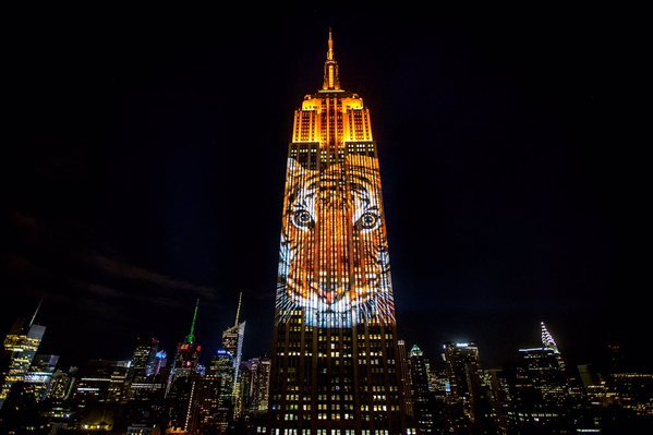 "Racing Extinction"