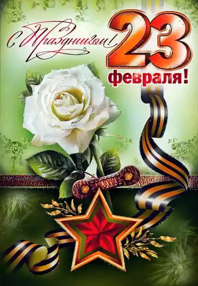 23fevralya-44