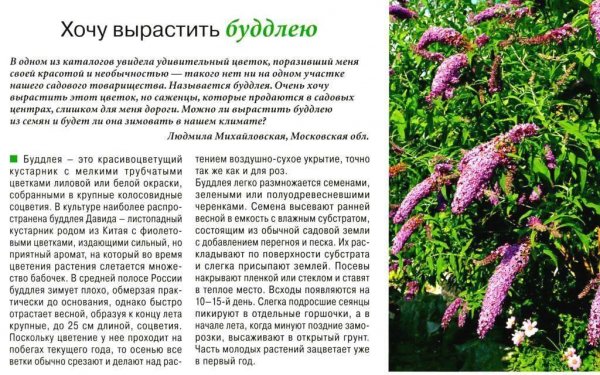 Для нашего сада
