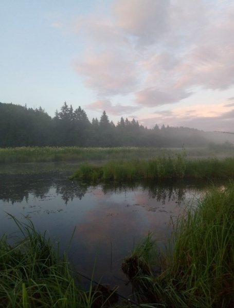 picture_392359919