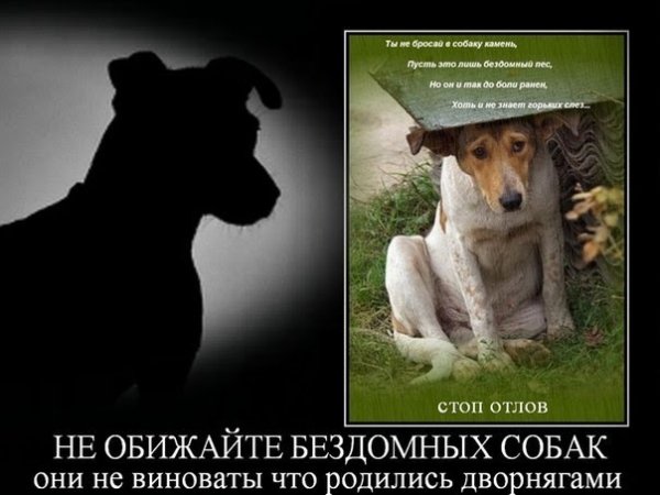 Не обижайте...