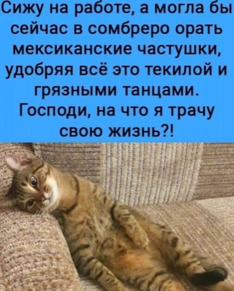 Да???!!!