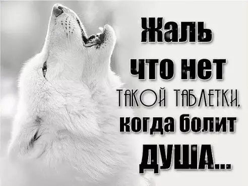 Таблетка