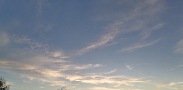 IMG 20231109 144217