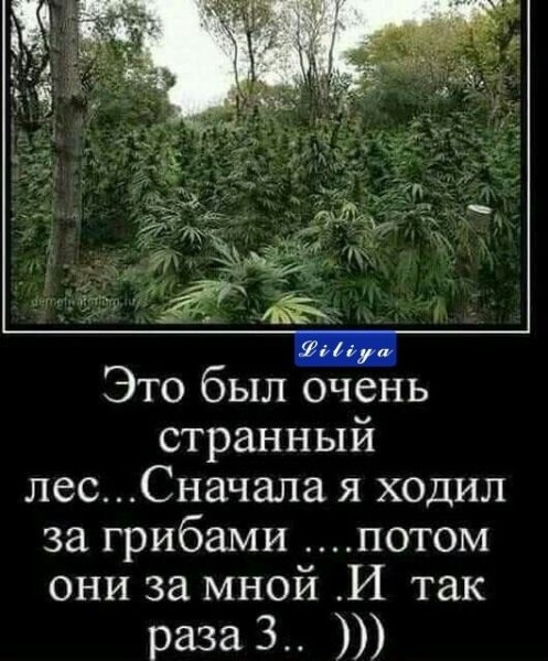 IMG 20260709 075924