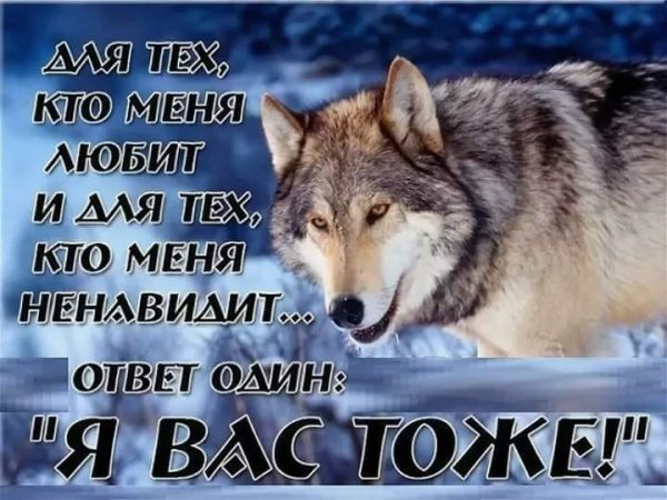 FB IMG 1593436164479