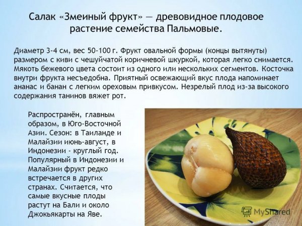 Салак "Змеиный фрукт"