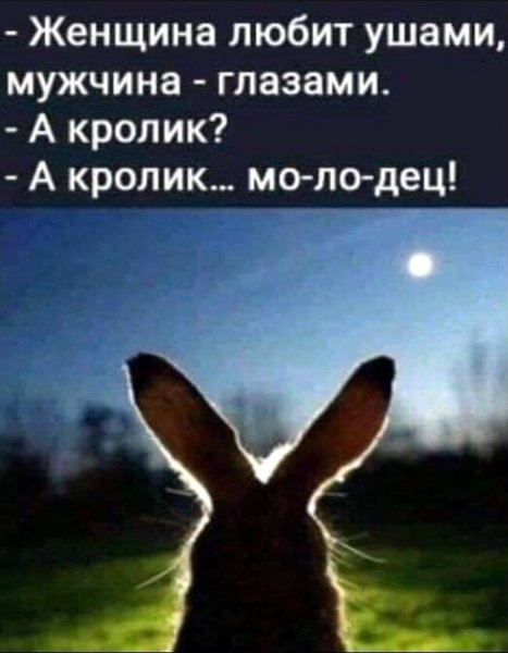 Кролик молодец)