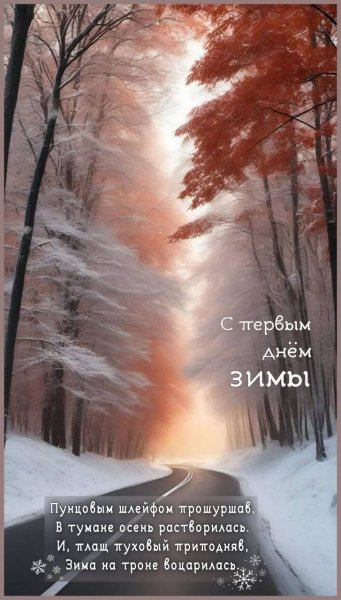 IMG 20231201 150338 561