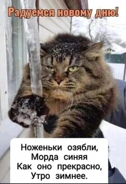 IMG 20260202 154527 113