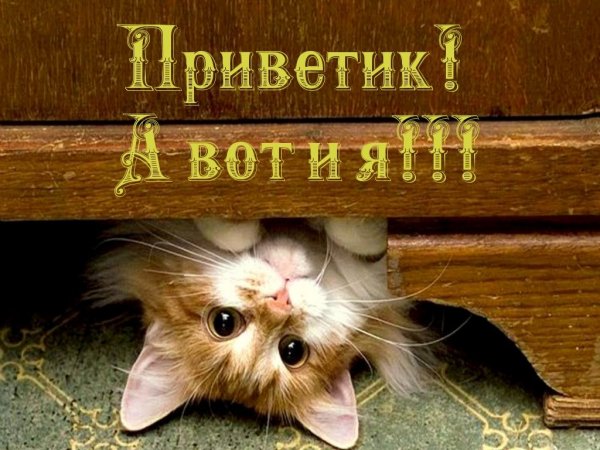 Да! ))