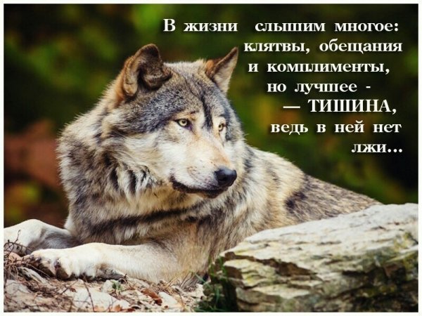 9DA48FE9-EEAE-4BAA-856A-614893055EB0