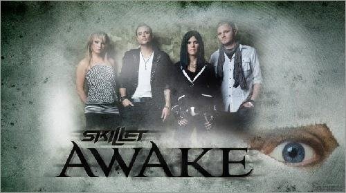skillet 1276809