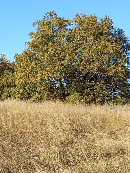 picture_306502291