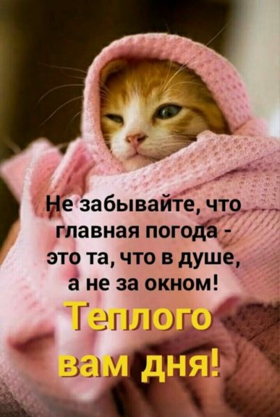 Не забывайте...