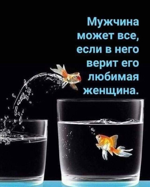 FB IMG 1625245703356