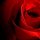 Opera 4.2 VKONTAKTE
