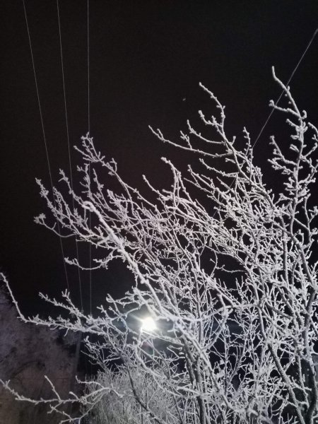 picture_404920709