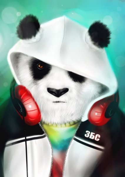 WT8OjbNxrR4