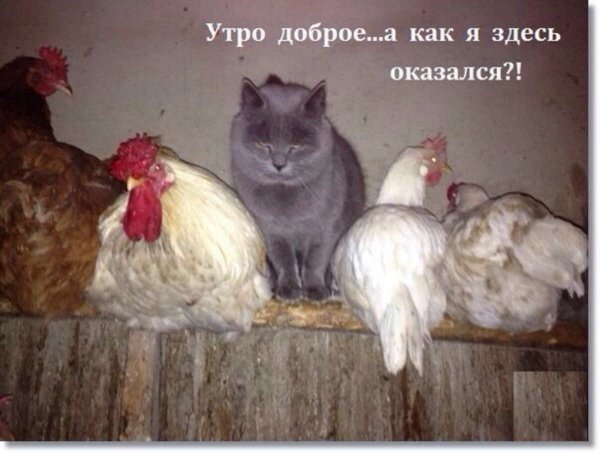 А???