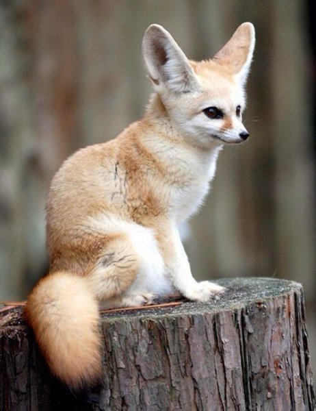 B6931f0ef1648d22047523dba96a9437