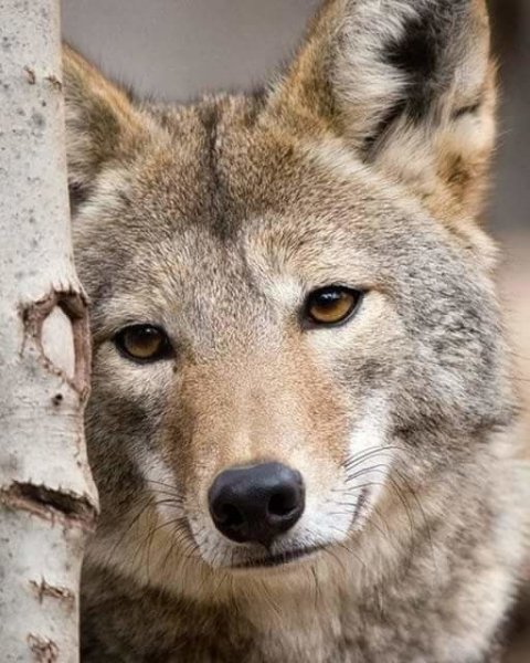 IMG 20190513 130237