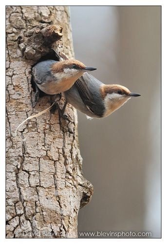 A77a0c23b71df1cc73835988948506d4