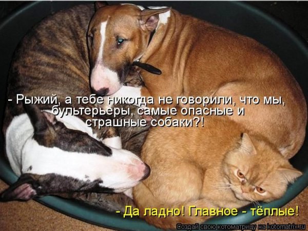 Да ладно! Главное - тёплые!
