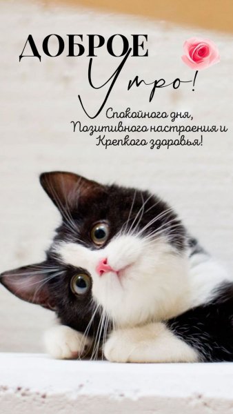 IMG-20250913-WA0013