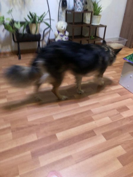 IMG-20240311-WA0015