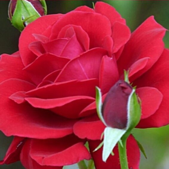 IMG 20190730 224358