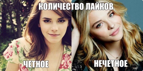 Мемы