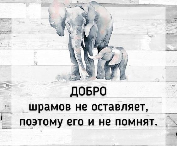 FMXg1FNhPD8