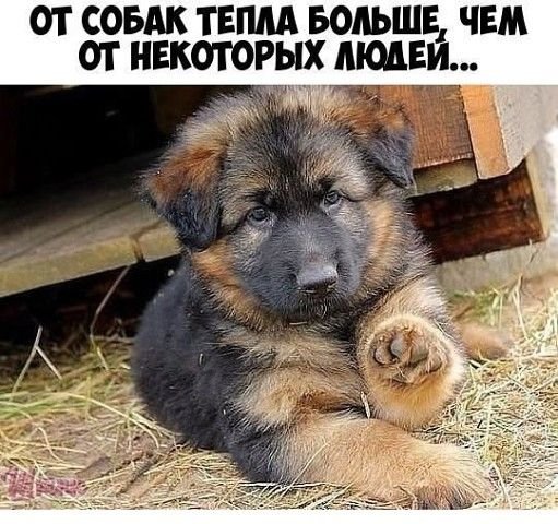 Так!