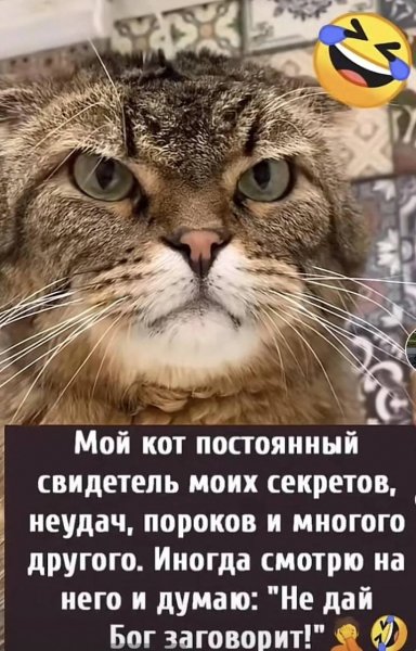 IMG 20250206 140411 101